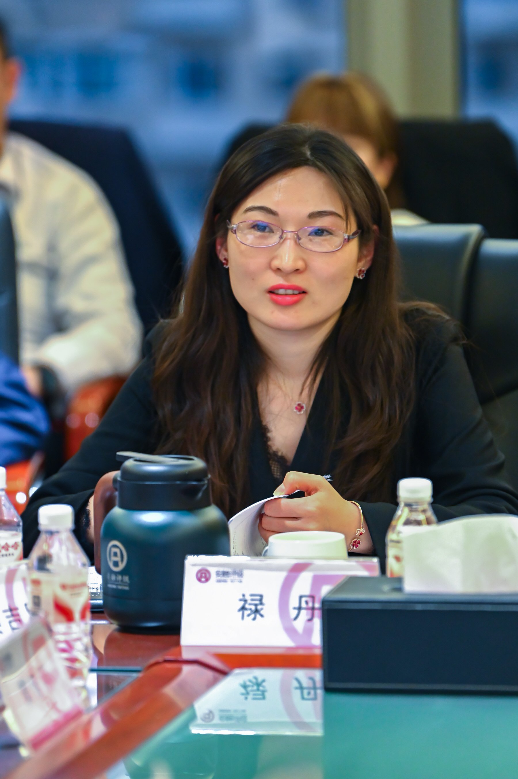 47点评禄丹_副本.jpg 47点评禄丹_副本.jpg